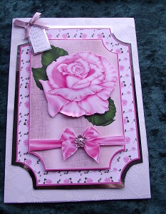 Stunning Pink Bloom by Cheryl Morrison