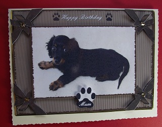 Cute or What. by Cheryl Morrison
