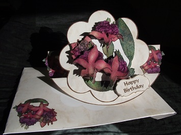 Fuschia All Occasion Rocker Stepper Kit Featured Gallery Photo