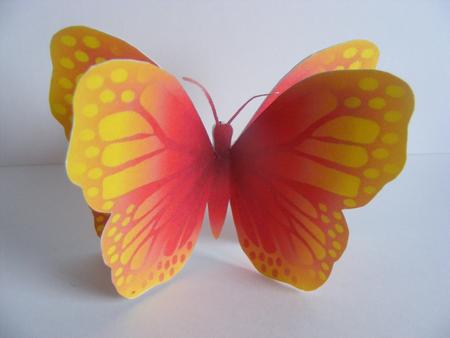 Mini 3D Butterfly (wow Orange) Mini Kit by Cheryl Smith