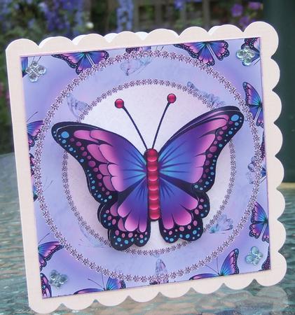 Purple Butterfly by Chris Keys
