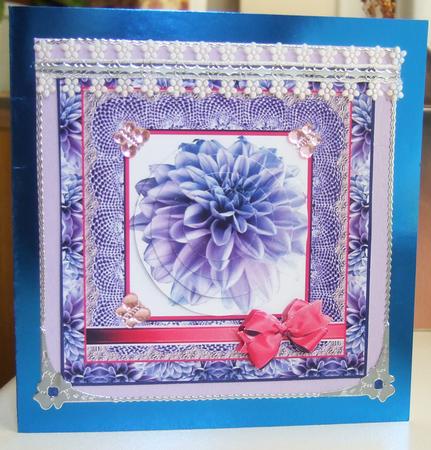 Dahlia Purple-icious by Chris Keys