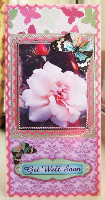 Rose Frame 2 by Chris Keys