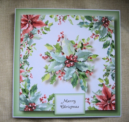 Gorgeous Watercolour Holly by Christine Smart