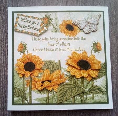 you are my sunshine by Christine Smart