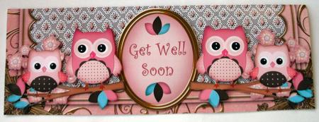 Pink Owls Get Well Soon Large Dl Card Kit by Christine Smart