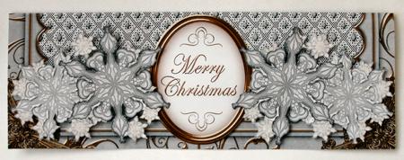 Silver Snowflake Merry Christmas Large Dl Card Kit by Christine Smart