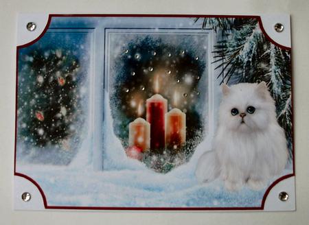 Christmas Kitten at the Window Plaques by Christine Smart