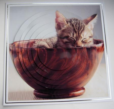 Furry Friends & Familiars-kitten-my Special Dish Pyramid + by Christine Smart