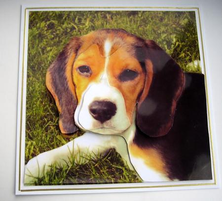 Furry Friends & Familiars - Puppies - Beagle Decoupage +tag by Christine Smart