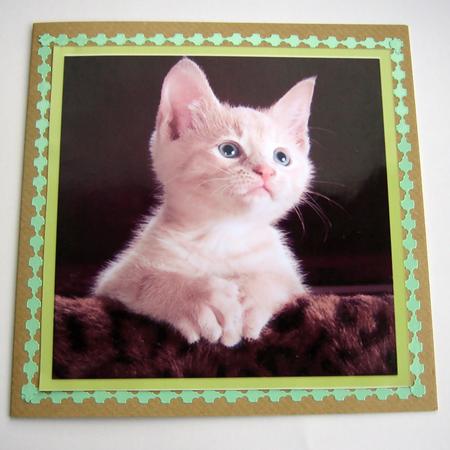 Cute Kitten Pyramid Card - Many Occasions by Christine Smart