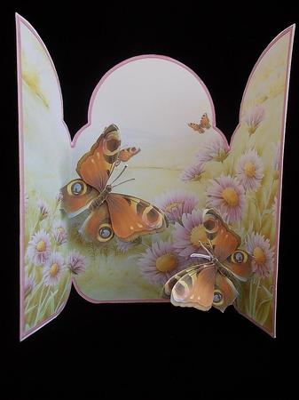 Butterfly Valley Gatefold Pop Up Card by Chris Stow