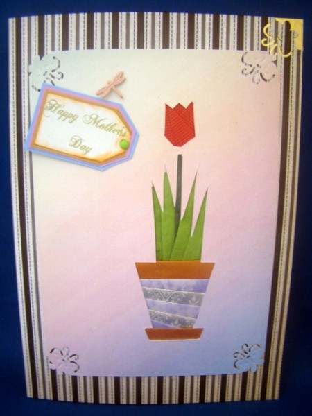 Tulips in a Pot by Chris Williams