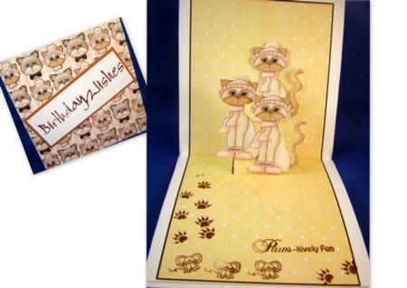 Pop Up Card for the Cat Lover by Chris Williams