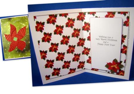 Poinsettia Insert (white) by Chris Williams
