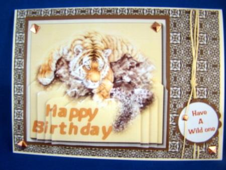 Happy Birthday Tiger Stacker by Chris Williams