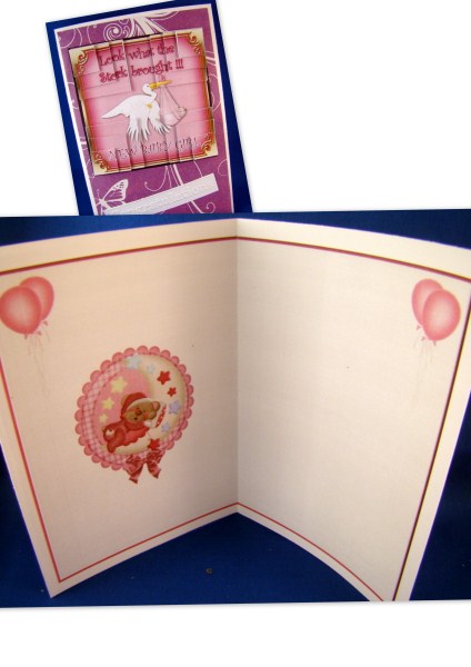 Baby Girl Insert 1 by Chris Williams