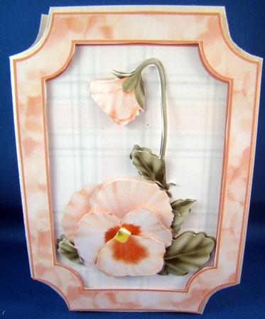 Pretty Apricot Pansy Topper by Chris Williams