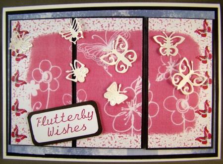 Butterfly in Pink Background by Chris Williams