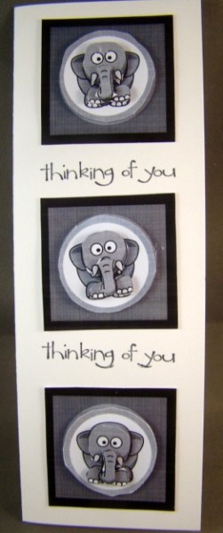 Elvis the Elephant Featured Gallery Photo