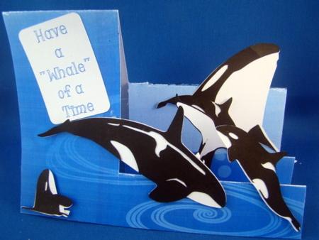 Orca Whale - Sil by Chris Williams