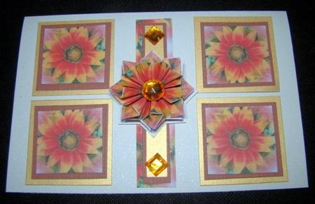 Gazania by Chris Williams