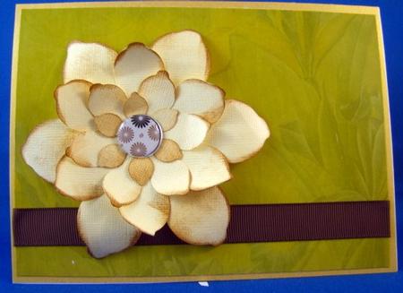 Understated Elegance Insert - Yellow by Chris Williams