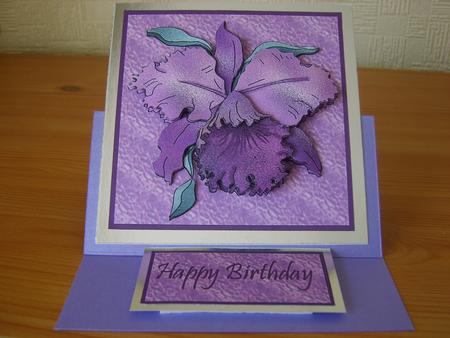 Purple Orchid by Chrissy Rowe