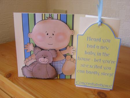 New Baby in the House by Chrissy Rowe