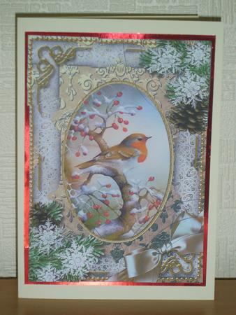 Robin Snow 7x5inch All 4 Corner Stacker Card Front by Chrissy Rowe