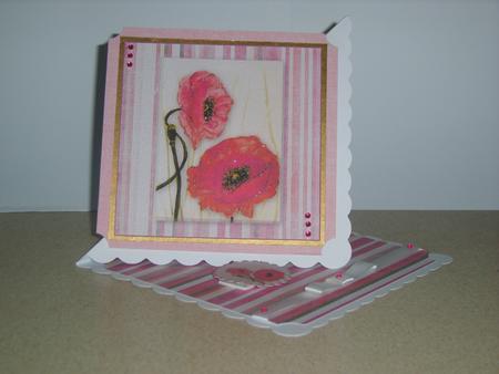 Painted Petals Poppy by Chrissy Rowe