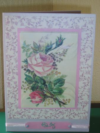 Pink Rose 2 by Chrissy Rowe