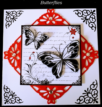 Butterflies by Christa Koerts