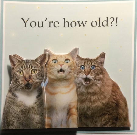 How Old?! one  by Christiane Lions