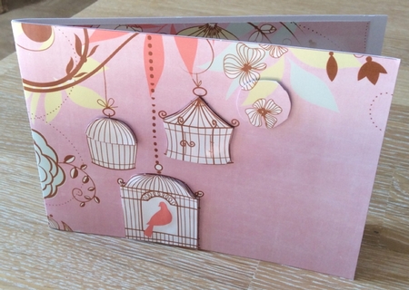 Birdcage Dusky Pink 7x5inch Landscape Card & Envelope Mini Kit by Christiane Lions