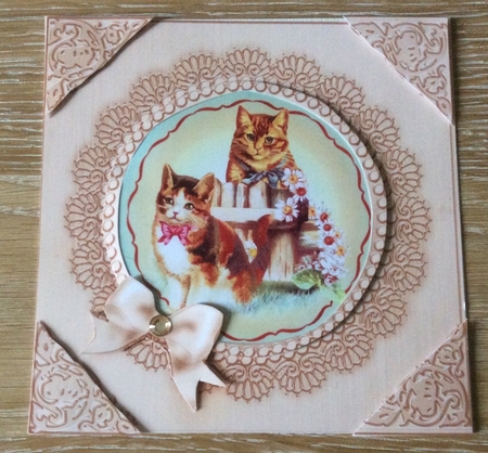 8 x 8 Metallic Lace and Bow Card Front by Christiane Lions