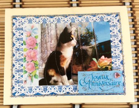 Katy Cat in the Window with Roses Step by Step Card Birthday by Christiane Lions