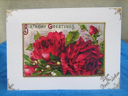 Vibrant Red Roses by Christine  Duncan
