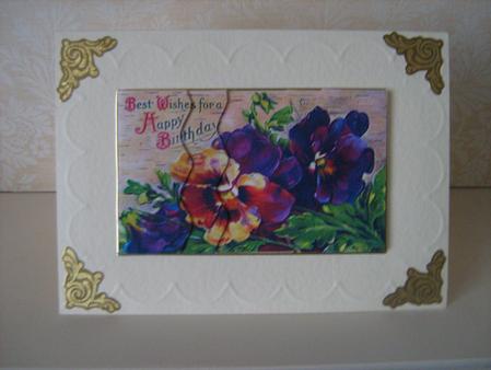 Pansy Scallop by Christine  Duncan