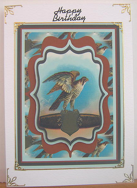Bird of Prey Bracket Design by Christine  Duncan