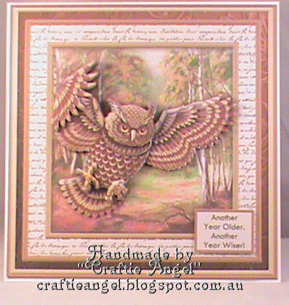 Wise Old Bird 8x8 Mini Kit with Ages & Decoupage by Christina Gudgeon