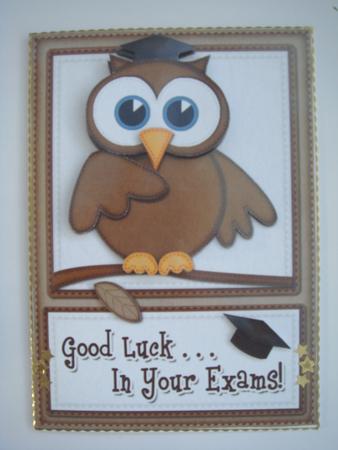 A5 Wise Owl Exam Good Luck Felties Quick Card 3D Decouopage by Christine Adcock