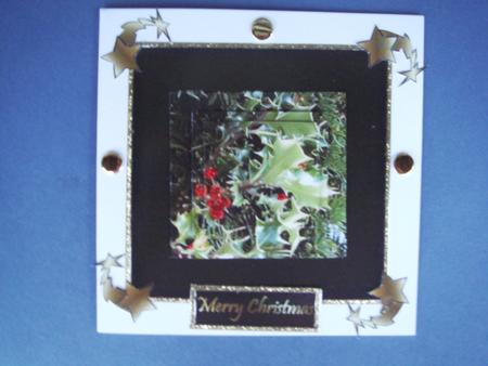 Holly Christmas by Christine Adcock