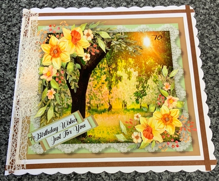 Beautiful Daffodils and Sunrays by Christine Easey