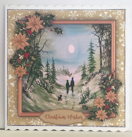 Beautiful Christmas Walk by Christine Easey