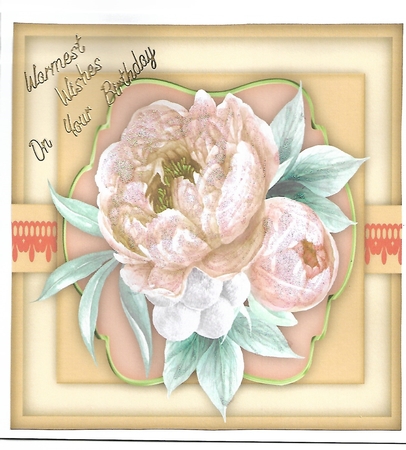 Beautiful Soft Pink  Peonys  by Christine Easey