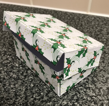 A4 Christmas Holly paper by Christine Easey