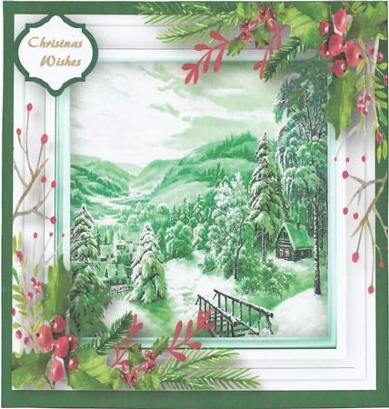 Snow Forest  by Christine Easey