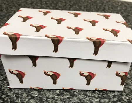 robin with red breast backing paper by Christine Easey