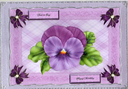 A Single Pansy in a Frame by Christine Easey